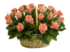 розы в корзине с доставкой