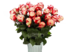 Свитнесс