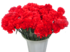 Гвоздика