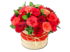 Сеньорита