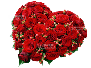 Мадам Наоми