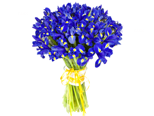Сапфир